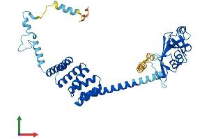 Protein Structure (PS) image for Tetratricopeptide Repeat Domain 4 (TTC4) (AA 1-387) protein (His tag) (ABIN7544789)