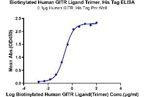 ELISA image for Tumor Necrosis Factor (Ligand) Superfamily, Member 18 (TNFSF18) (AA 50-177), (Trimer) protein (His-DYKDDDDK Tag,Biotin) (ABIN7274682)