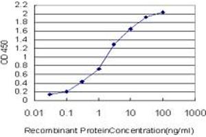 Detection limit for recombinant GST tagged BARX1 is approximately 0. (BARX1 抗体  (AA 1-100))