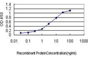 Detection limit for recombinant GST tagged ICOSLG is approximately 0. (ICOSLG 抗体  (AA 20-302))
