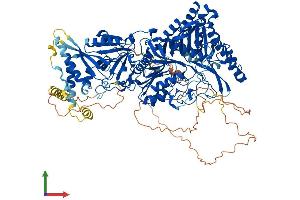 Protein Structure (PS) image for Phospholipase D1 (PLD1) (AA 1-1074) protein (His tag) (ABIN7565292)