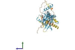 AlphaFold protein structure predicition of Human Recombinant HSP90AA4P Protein, UniprotID Q58FG1 (HSP90AA4P Protein (AA 1-418) (His tag))