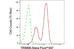Flow cytometric analysis of TRIM56 expression in HT- cells using TRIM56 antibody (ABIN7800639), 1:2,000). (Recombinant TRIM56 抗体)