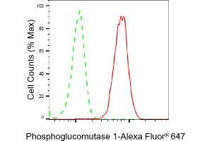 Flow cytometric analysis of Phosphoglucomutase 1 expression in HepG2 cells using Phosphoglucomutase 1 antibody (ABIN7799805), 1:2,000). (Recombinant Phosphoglucomutase 1 抗体)