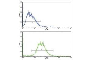 Flow cytometric analysis of HepG2 cells using IL17RB antibody (bottom histogram) compared to a negative control (top histogram). (IL17 Receptor B 抗体  (AA 207-234))