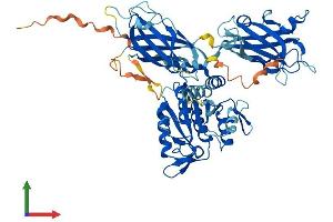 Protein Structure (PS) image for Copine V (CPNE5) (AA 1-593) protein (His tag) (ABIN7559410)