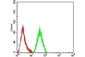 Flow cytometric analysis of THP-1 cells using CD171 mouse mAb (green) and negative control (red). (L1CAM 抗体  (AA 20-197))