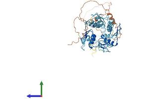 AlphaFold protein structure predicition of Human Recombinant ZNF682 Protein, UniprotID O95780