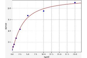 Typical standard curve (Calretinin ELISA 试剂盒)