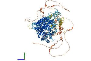 Protein Structure (PS) image for Class II, Major Histocompatibility Complex, Transactivator (CIITA) (AA 1-1130) protein (His tag) (ABIN7552853)