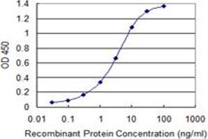 Detection limit for recombinant GST tagged CCDC6 is 0. (CCDC6 抗体  (AA 375-474))
