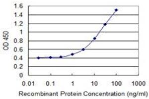 Detection limit for recombinant GST tagged RND3 is 0. (RND3 抗体  (AA 1-244))