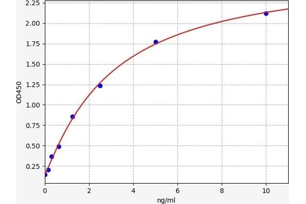 PMP22 ELISA 试剂盒