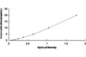 Typical standard curve (SYNPO2 ELISA 试剂盒)