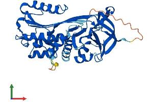 AlphaFold protein structure predicition of Human Recombinant SERPINB6 Protein, UniprotID P35237