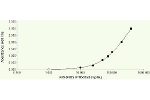 ELISA Plates were coated with 1 μg/mL recombinant human eNOS, our polyclonal rabbit anti eNOS was added at different concentrations and detected with an anti-rabbit HRP. (ENOS 抗体)