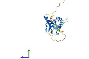 Protein Structure (PS) image for SAP30-Like (SAP30L) (AA 1-182) protein (His tag) (ABIN7557522)