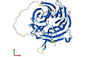 Protein Structure (PS) image for RAE1 RNA Export 1 Homolog (S. Pombe) (RAE1) (AA 1-368) protein (His tag) (ABIN7551146)