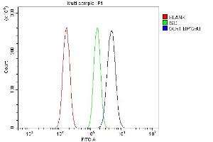 Flow Cytometry analysis of Neuro-2a cells using anti-Olr1 antibody (ABIN7602018).