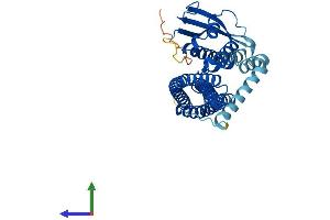 AlphaFold protein structure predicition of Mouse Recombinant Snx32 Protein, UniprotID Q80ZJ7