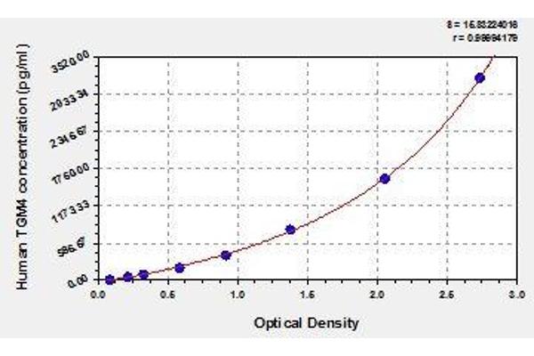 TGM4 ELISA 试剂盒