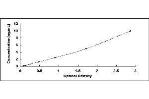 Typical standard curve (Contactin 1 ELISA 试剂盒)