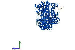 Protein Structure (PS) image for Thymidine Phosphorylase (TYMP) (AA 1-471) protein (His tag) (ABIN7560431)
