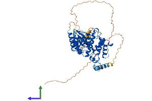 Protein Structure (PS) image for rho GTPase Activating Protein 15 (ARHGAP15) (AA 1-475) protein (His tag) (ABIN7551353)