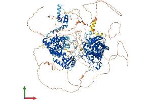 Protein Structure (PS) image for Zinc Finger, CCHC Domain Containing 6 (ZCCHC6) (AA 1-1495) protein (His tag) (ABIN7555890)
