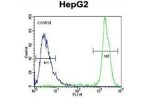 GPAM Antibody (Center) flow cytometric analysis of HepG2 cells (right histogram) compared to a negative control cell (left histogram). (GPAM 抗体  (Middle Region))