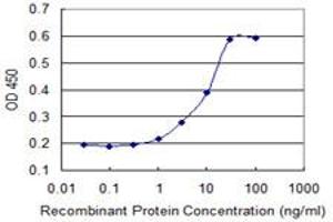 Detection limit for recombinant GST tagged DUSP1 is 0. (DUSP1 抗体  (AA 305-367))