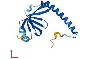 AlphaFold protein structure predicition of Human Recombinant LSM1 Protein, UniprotID O15116 (LSM1 Protein (AA 1-133) (His tag))