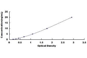 Typical standard curve (SMAD1 ELISA 试剂盒)