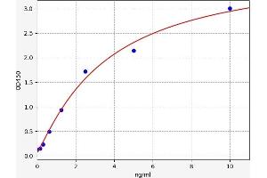 Typical standard curve (CAMK2D ELISA 试剂盒)