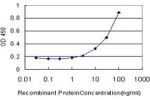 Detection limit for recombinant GST tagged CAMK2A is approximately 3ng/ml as a capture antibody. (CAMK2A 抗体  (AA 305-410))