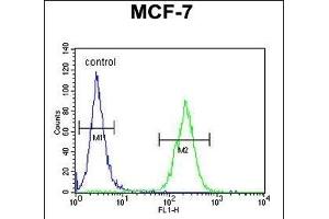 DNAJA1 Antibody (Center) (ABIN652030 and ABIN2840506) flow cytometric analysis of MCF-7 cells (right histogram) compared to a negative control cell (left histogram). (DNAJA1 抗体  (AA 294-323))