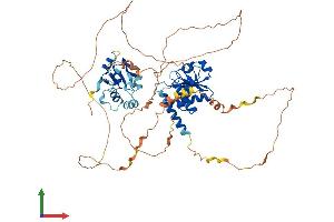 Protein Structure (PS) image for Dual Specificity Phosphatase 8 (DUSP8) (AA 1-625) protein (His tag) (ABIN7547200)