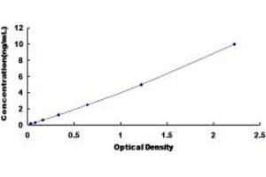Typical standard curve (LIM Domain Binding 1 Protein ELISA 试剂盒)
