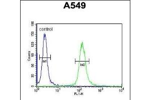 Flow Cytometry (FACS) image for anti-Loss of Heterozygosity, 12, Chromosomal Region 1 (LOH12CR1) (AA 167-196), (C-Term) antibody (ABIN651991)