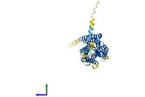 Protein Structure (PS) image for G Protein-Coupled Receptor 85 (GPR85) (AA 1-370) protein (His tag) (ABIN7548098)