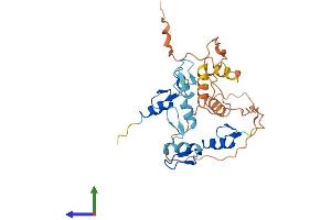 Protein Structure (PS) image for Odd-Skipped Related 2 (OSR2) (AA 1-312) protein (His tag) (ABIN7550537)