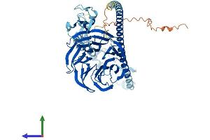 AlphaFold protein structure predicition of Mouse Recombinant Traf7 Protein, UniprotID Q922B6