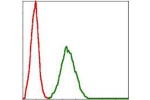 Flow cytometric analysis of NIH/3T3 cells using BMI1 mouse mAb (green) and negative control (red).
