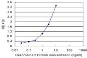 Sandwich ELISA detection sensitivity ranging from 0.