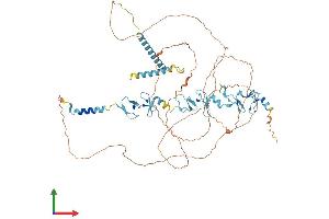 AlphaFold protein structure predicition of Mouse Recombinant Limd1 Protein, UniprotID Q9QXD8