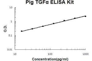 Pig TGF alpha PicoKine ELISA Kit standard curve (TGFA ELISA 试剂盒)