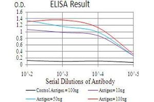 Black line: Control Antigen (100 ng), Purple line: Antigen(10 ng), Blue line: Antigen (50 ng), Red line: Antigen (100 ng), (TARDBP 抗体  (AA 126-260))