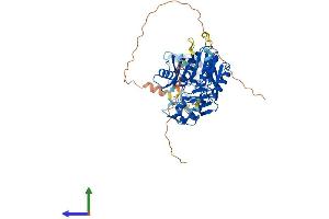Protein Structure (PS) image for tRNA Methyltransferase 5 (TRMT5) (AA 1-501) protein (His tag) (ABIN7560828)