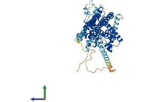 Protein Structure (PS) image for Sterol O-Acyltransferase 1 (SOAT1) (AA 1-550) protein (His tag) (ABIN7546143)