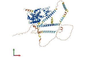 Protein Structure (PS) image for Dystrobrevin, beta (DTNB) (AA 1-659) protein (His tag) (ABIN7562582)